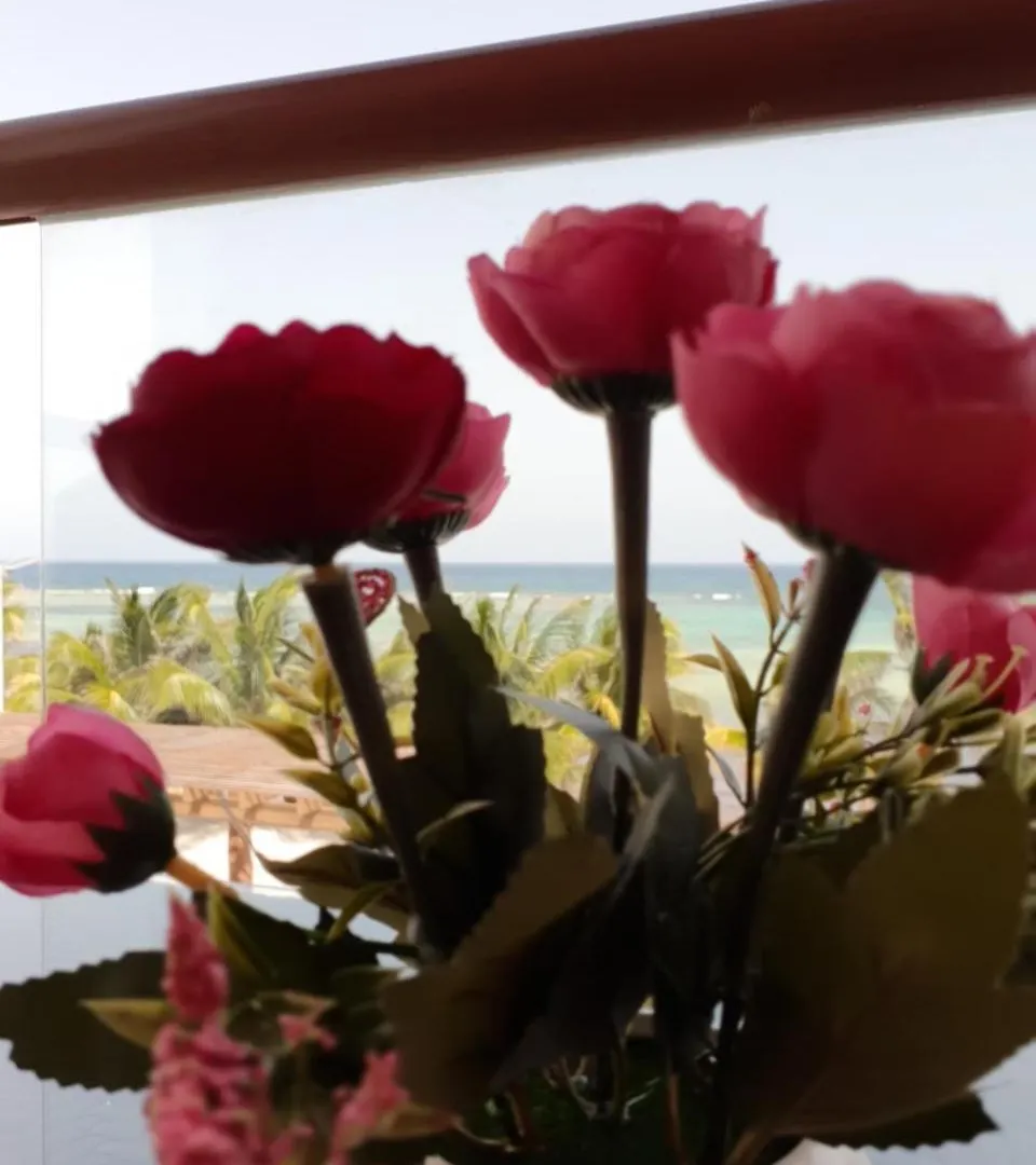 Aquastar By Rt Vacation Rentals Mahahual